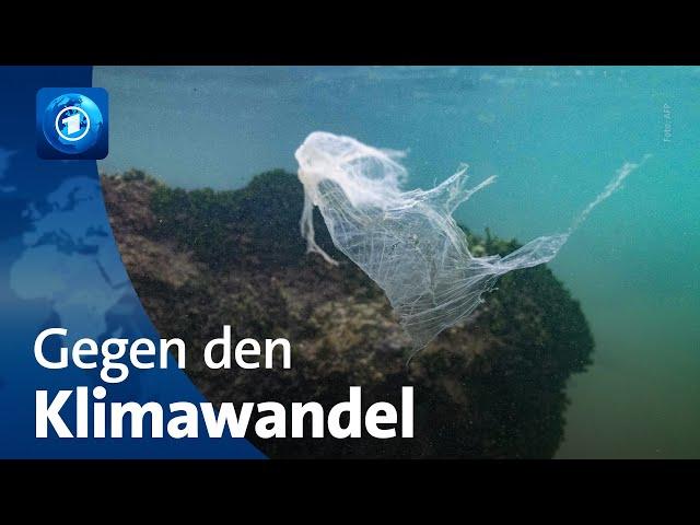 Jahresrückblick: Bemühungen gegen den Klimawandel