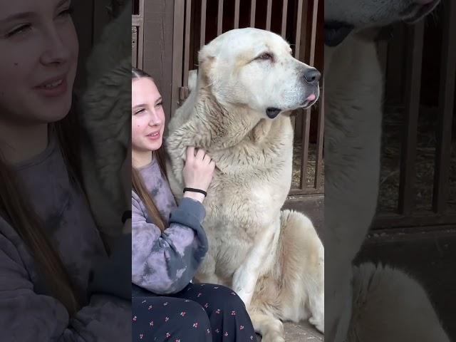 РАША И СТАРШАЯ ЭДУАРДОВНА САО АЛАБАЙ