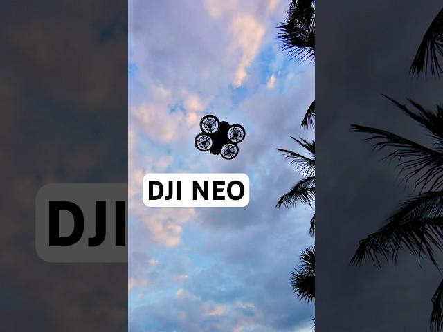 DJI Neo takeoff! #djineo #drone