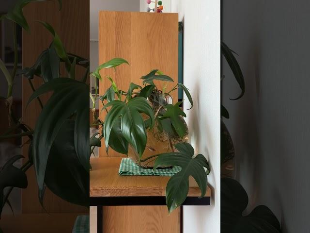 편안한 휴식처 #우드인테리어 #coffee #우디홈 #아파트인테리어 #homedecor #20평대인테리어