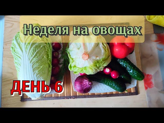 Луковица на завтрак, овощная бомба на обед и самый вкусный летний салат на ужин