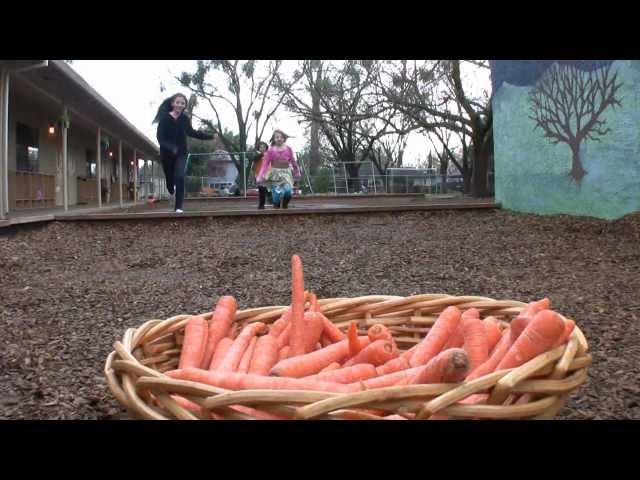 Carrots Farm to Fork: Meet California farmer Matthew Martin