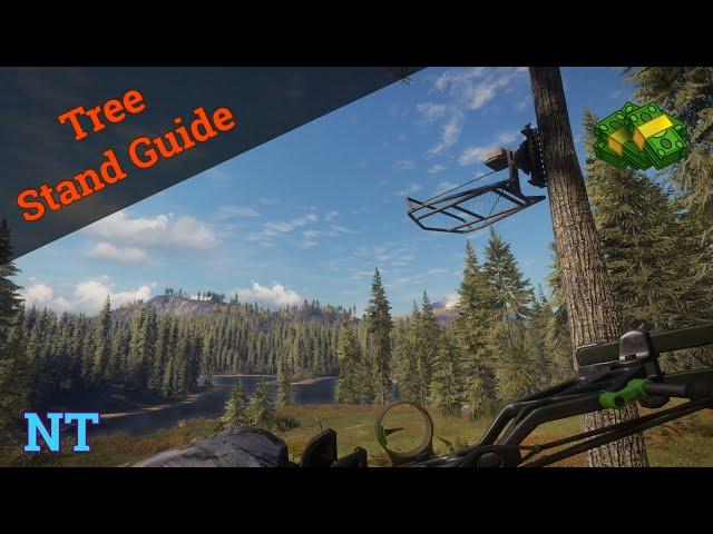 How to Use Tree Stands The Hunter Call Of The Wild