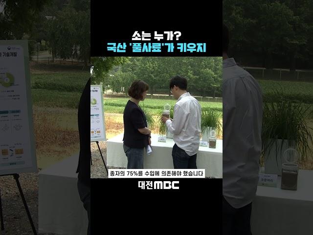 #shorts [자막뉴스(06.15)] 소는 누가? 국산 '풀사료'가 키우지