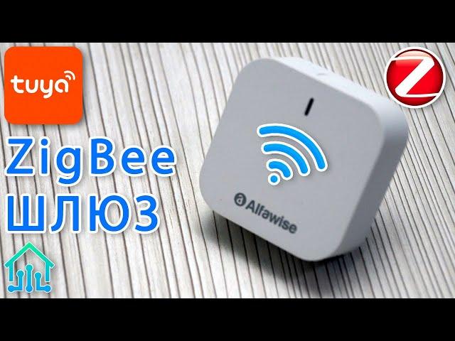 Шлюз Zigbee для TUYA экосистемы умного дома обзор устройства и подключения