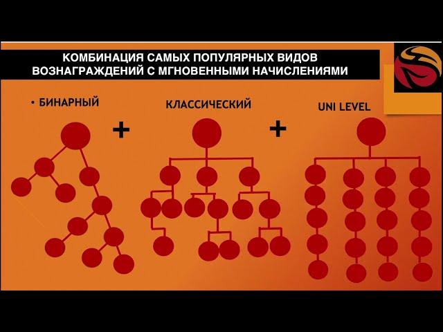 Маркетинг-план сетевой компании Whieda за 10 минут