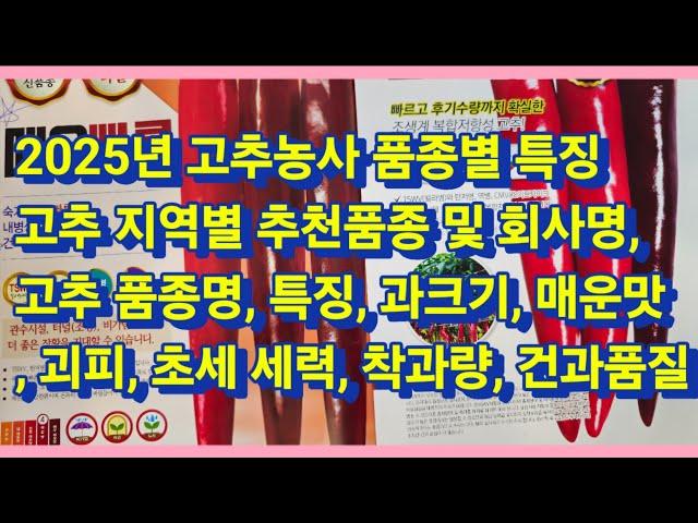 2025년 고추농사 고추 품종별 특징 및 고추 지역별 추천 품종(고추 품종별 과크기, 매운맛, 과피, 초세 세력, 착과량, 건과 품질 등)(농사의신)