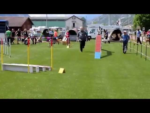 1815.ch - Agility Meeting Steg 2015