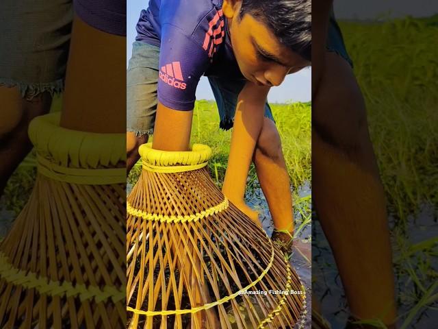 New Polo Fishing #fish_video #bamboo_fishing #fish_Catching #fishingmethods #unbelievable_fishing