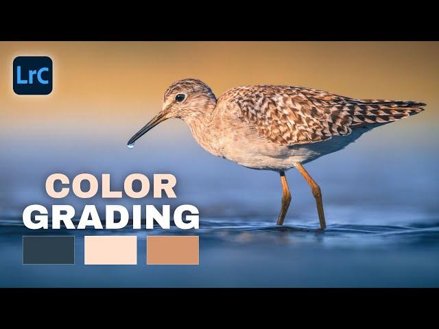 PROS Know This About COLOR GRADING, Beginners DON'T