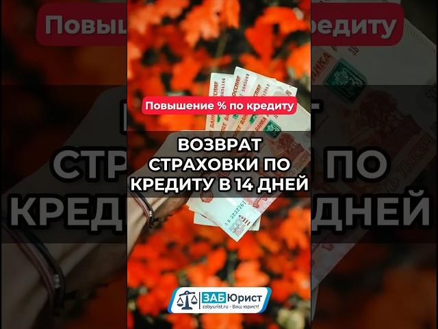 Возврат страховки по кредиту в течении 14 дней #забюрист #юрист #банк #страховка #кредит