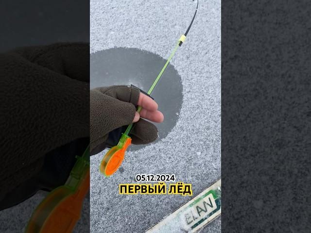 Открыл сезон!#рыбалка #fishing #рыбак #ротан #удочка #первыйлед #охота #рыба #зимняярыбалка