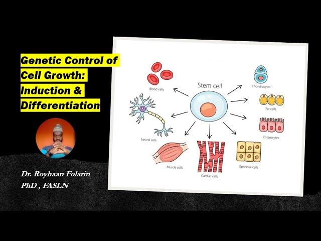 Induction and differentiation: Genetic Control of Cell Growth