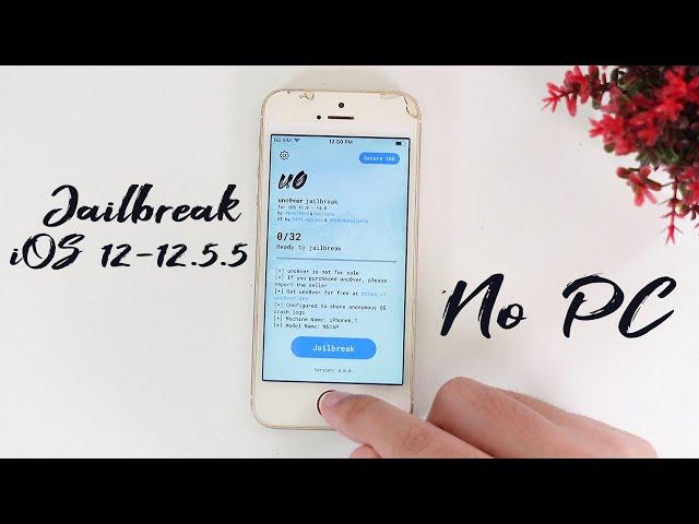 How to Install & Jailbreak iOS 12-12.5.5 No Computer in 2022