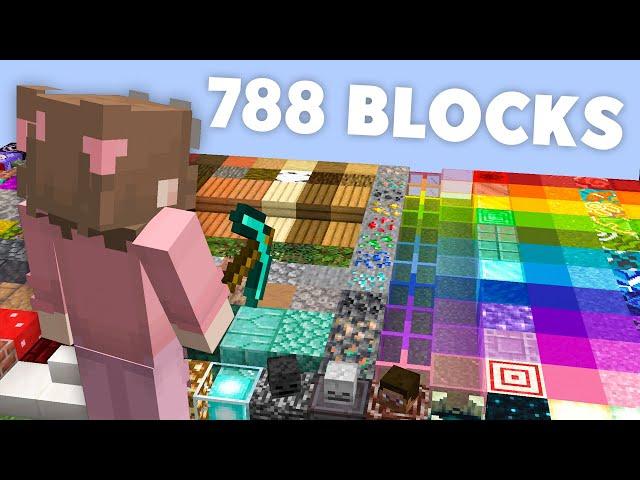 Why I Collected Every Block