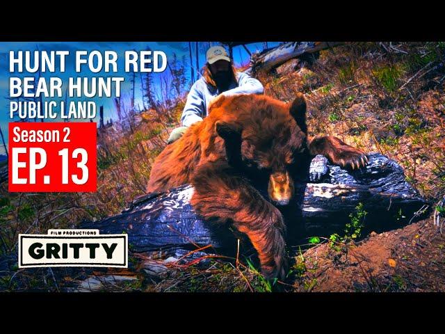 SEASON 2 | EP 13 | THE HUNT FOR RED | BEAR HUNT |  GRITTY 4K FILM