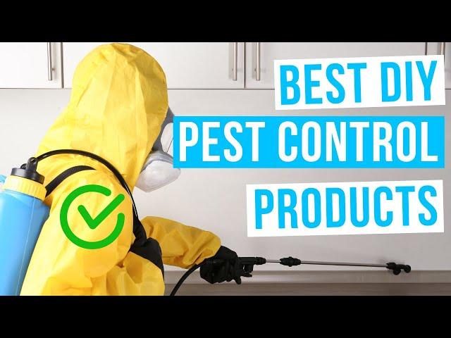 BEST DIY PEST CONTROL PRODUCTS FOR HOME