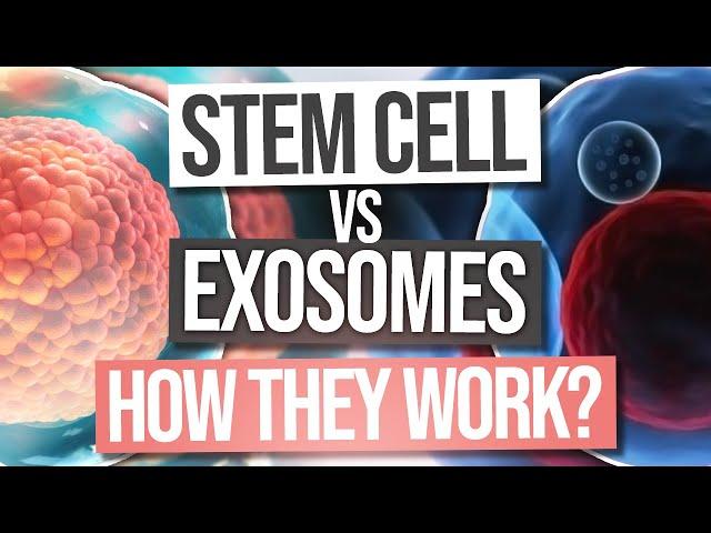 Stem Cells vs Exosomes - Which Are Better?