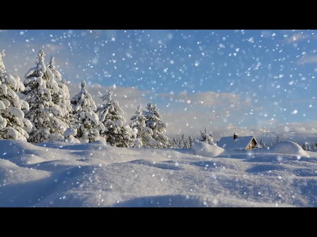 Winter wonderland with relaxing piano music (Smart TV background video)