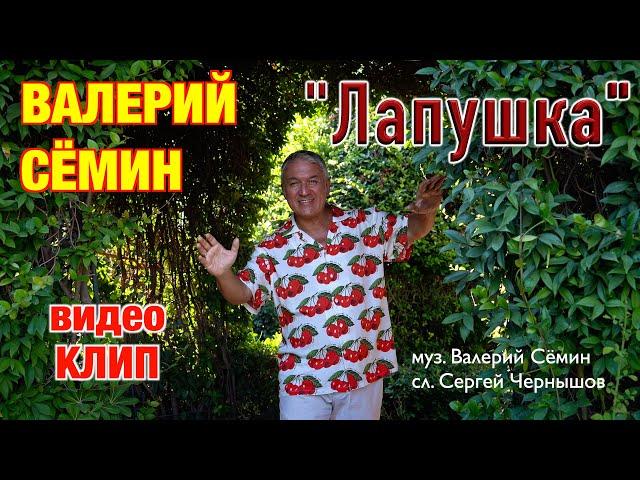 Поёт ВАЛЕРИЙ СЁМИН ️ Клип "ЛАПУШКА" ️ Очень красиво и душевно)))