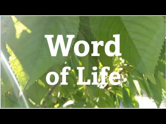 Word of Life June 2024 @FocoB