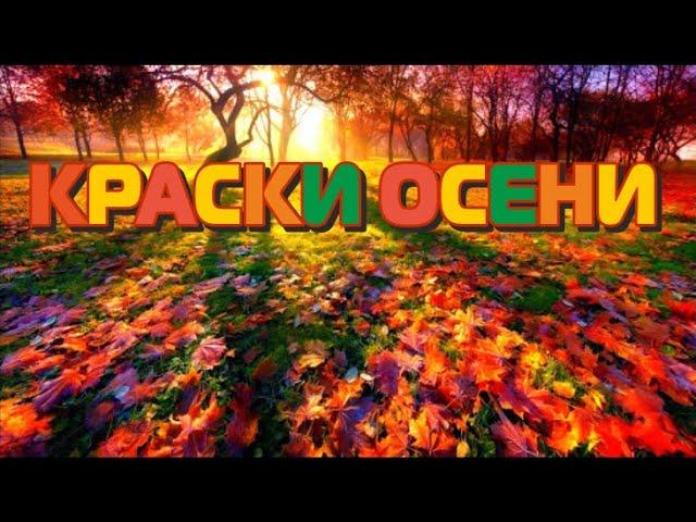 КРАСКИ ОСЕНИ (Осенние пейзажи, красивая мелодия)