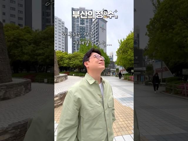 부산에서 여행가고 싶을 때.. 이제 편안히 여행하세요️ #shorts #부산의정수