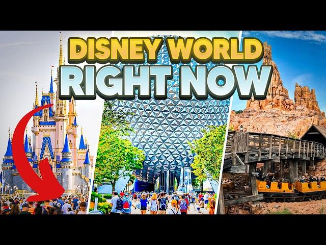 What its REALLY Like in Walt Disney World NOW!