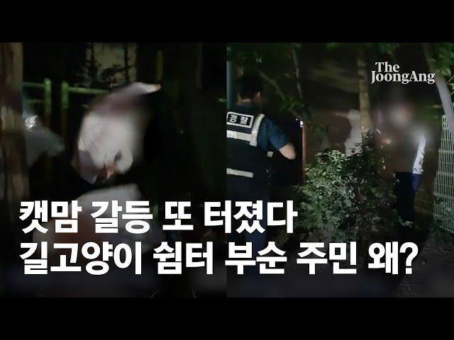 “길고양이가 차량 훼손” “제재 수단 없어”…고양이 쉼터 부순 남성 입건 둘러싼 ‘캣맘 갈등’