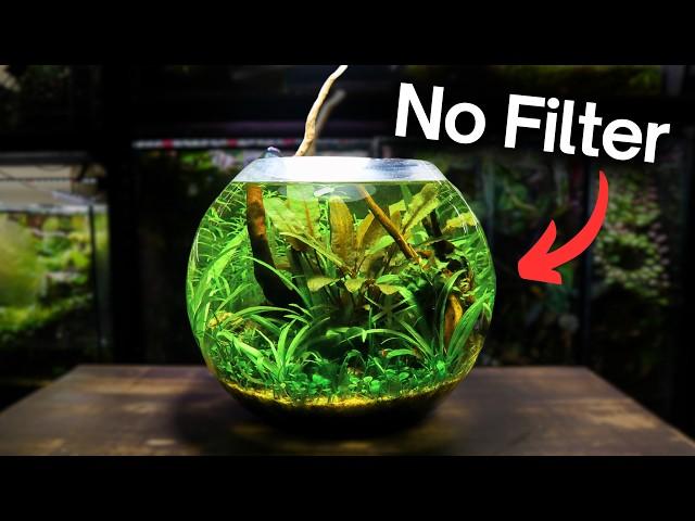 Creating an Underwater Ecosystem Inside a Glass Bowl!