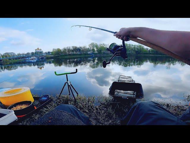 от А до Я - РЫБАЛКА на ЛЕЩА! Умная ЛОВЛЯ рыбы в мелочах! ПРИКОРМКА на молоке! Fishing on the feeder!