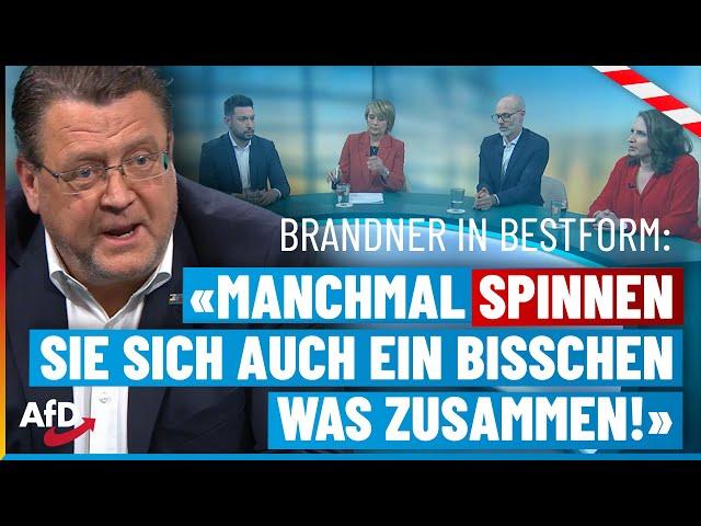 Brandner sprengt die Phoenix-Runde: „Manchmal spinnen Sie sich auch ein bisschen was zusammen“