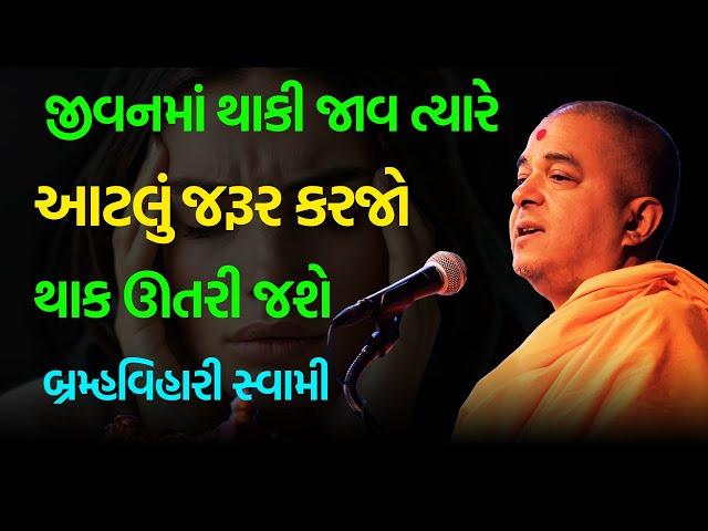 નવી ને અવનવી વાતો ~ Brahmavihari Swami 2024 | BAPS Katha Pravachan | Swaminarayan Katha