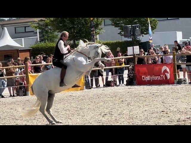 Horse Riding and Dressage: Highlights of the Mustang Makeover in Aachen / Germany (July 2022)