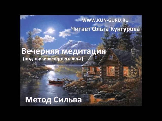 Метод Сильва. Вечерняя медитация под звуки вечернего леса. WWW.KUN-GURU