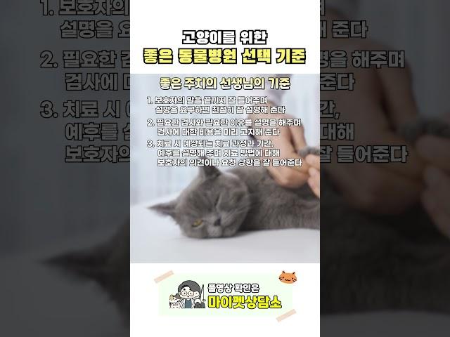 좋은 동물병원 선택 기준