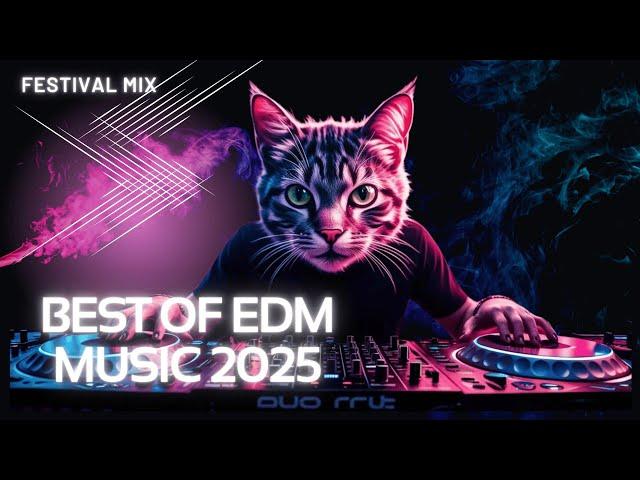 EDM MUSIC MIX POPULAR SONGS 2025