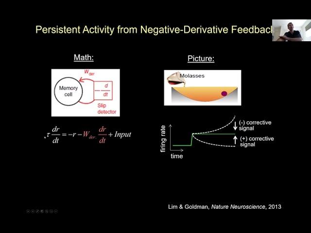 Mark Goldman - Balanced networks for working memory and neural integration