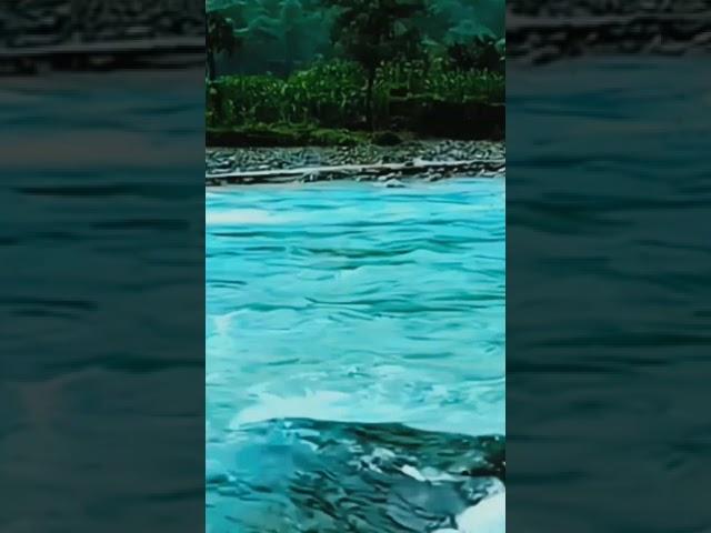 Beautiful nature of Japan!love nature#viralvideo# #unfrezzmyaccount #like #japanlover #insta #