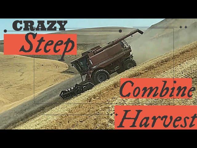 Smaller combines, bigger hills. Grain Hogs S02 E02