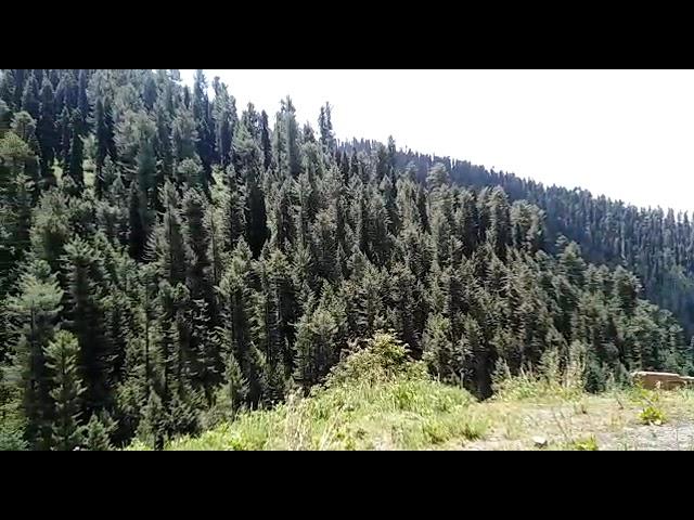 Beautiful meadows of KPK Pakistan