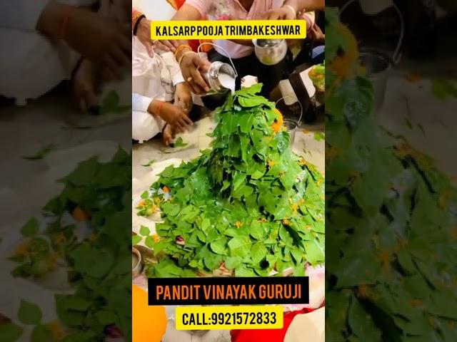 Kalsarp Pooja in Trimbakeshwar | Call: 9921572833