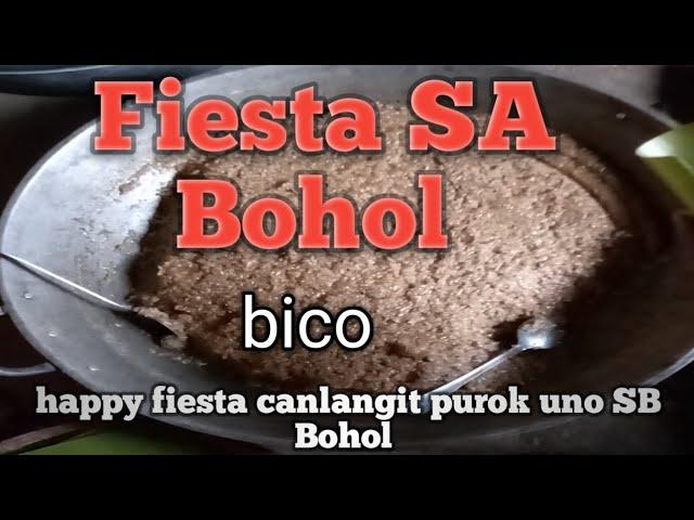 Happy fiesta canlangit purok uno SB Bohol Leno adventure01