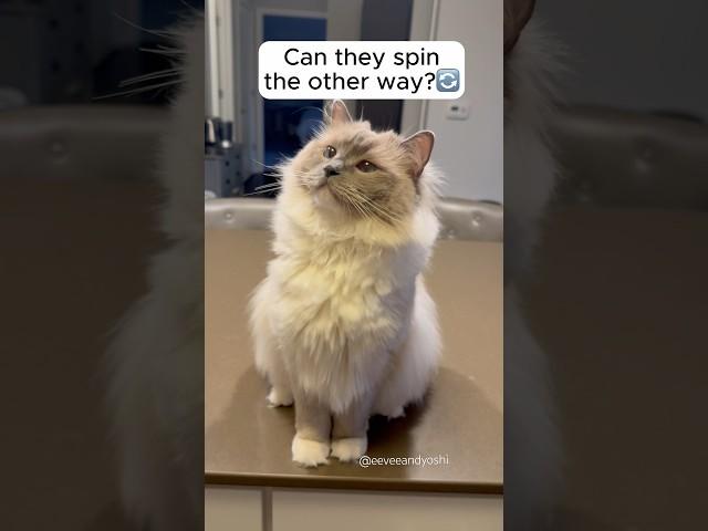 They seem set in their ways 