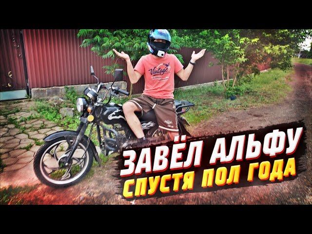 ЗАВЁЛ АЛЬФУ ВПЕРВЫЕ ЗА ПОЛ ГОДА! ПОКАТУШКИ НА МОПЕДЕ АЛЬФА! АЛЬФАВОД ВЕРНУЛСЯ!