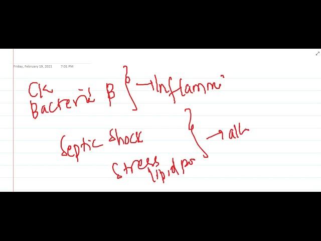 vascular wall response to injury || Pathology