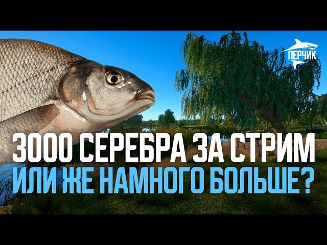 3000 СЕРЕБРА за стрим: зрители УВЕЛИЧИВАЮТ цифру ● каждый час меняю водоём ● Русская рыбалка 4