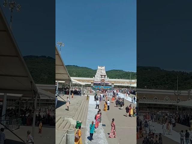 Tirumala Tirupati Live  17th June 2024 | Lord Balaji Temple