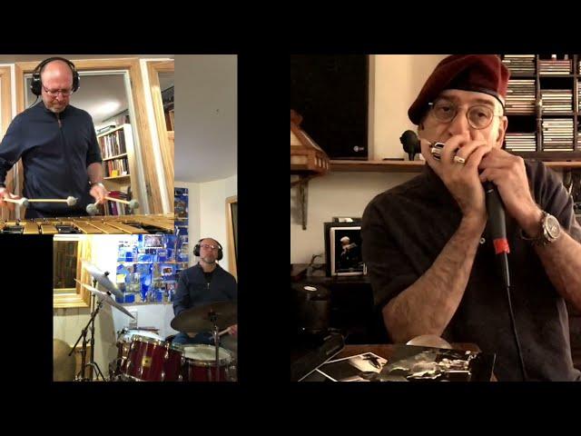 Three Views Of A Secret ( J. Pastorius) MikeTurk-Harmonica & Rich Greenblatt-Vibraphone