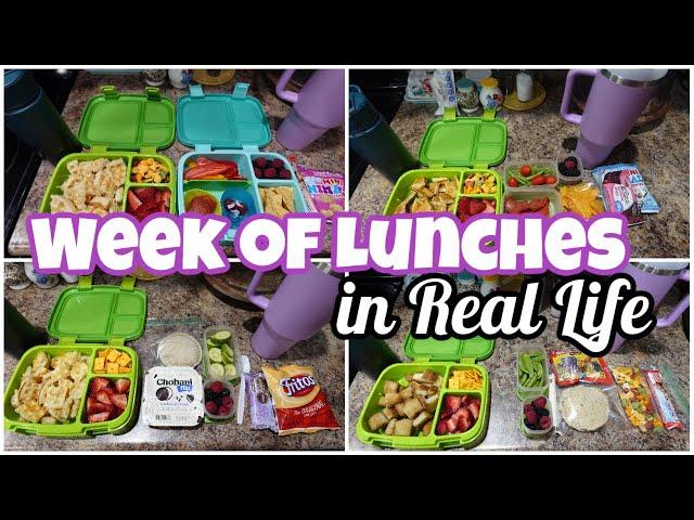 What's In My Kids' Lunchboxes | Easy School Lunch Ideas